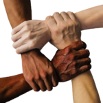 ความน่าเชื่อถือของเว็บไซต์